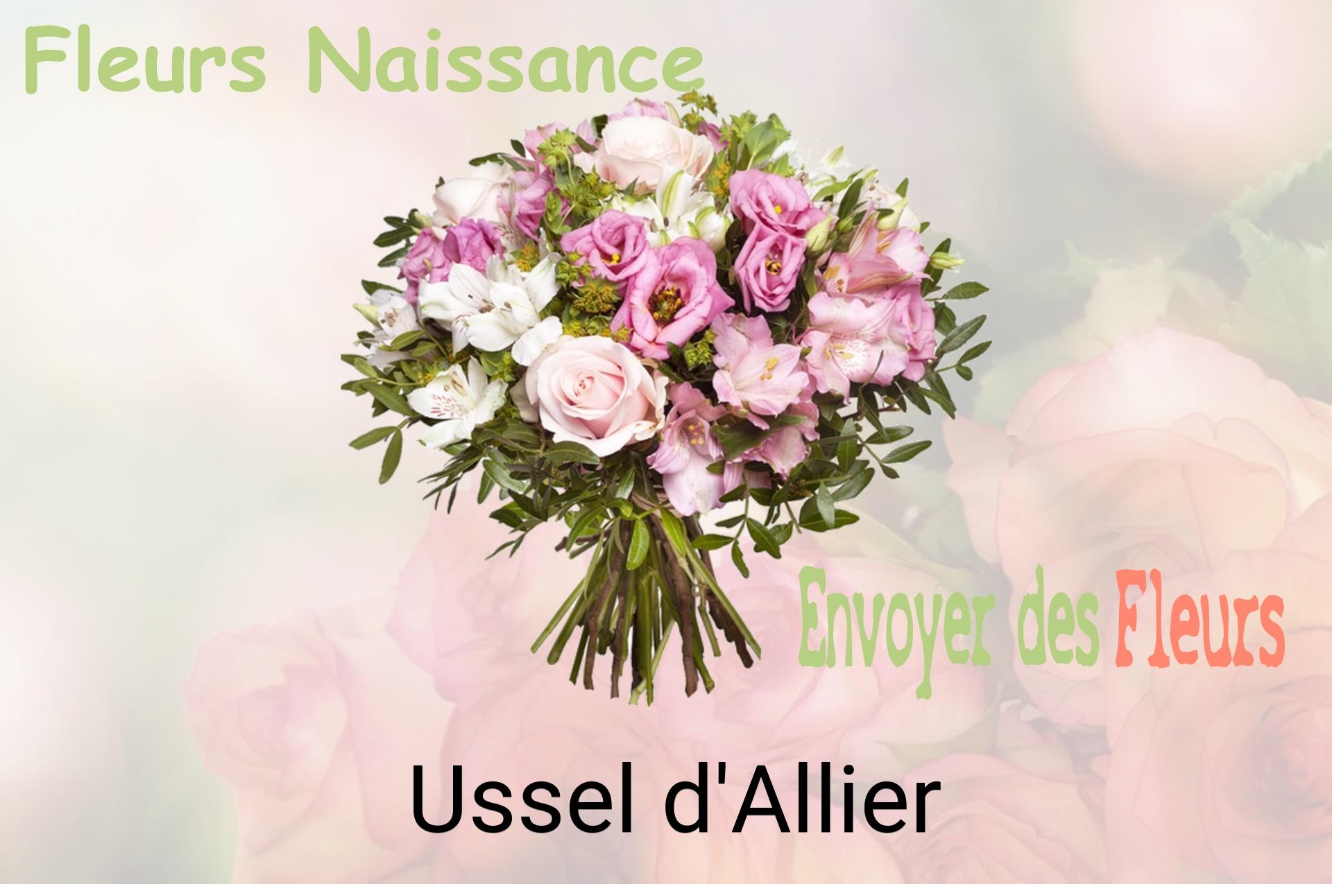 Bouquet de fleurs de naissance livré à Ussel-d'Allier