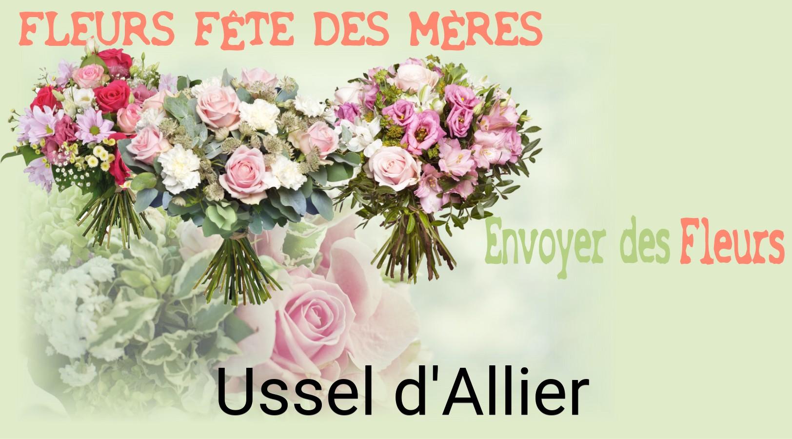 Bouquet de Fête des Mères livré à Ussel-d'Allier